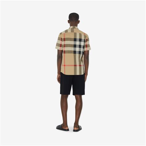 burberry check cotton shirts